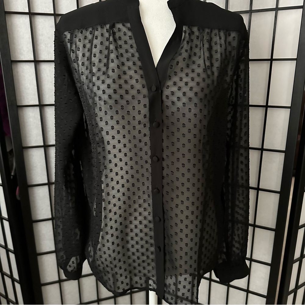 🌻ANN TAYLOR Swiss Dot Black Blouse - Like New